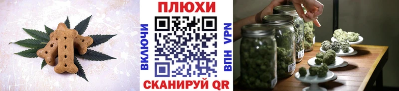 Cannafood конопля блэк спрут tor Злынка
