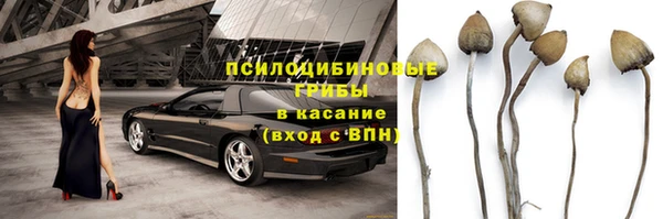 apvp Алексин