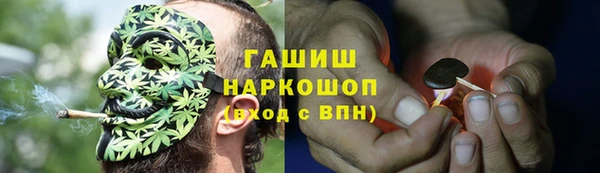 apvp Алексин