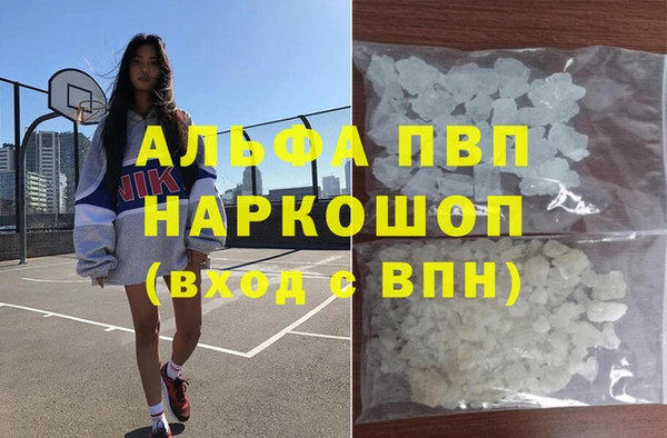 apvp Алексин